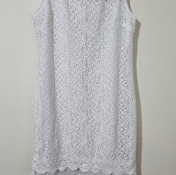 Ellen Tracy Eyelet Lace Dress - Picture 3 of 5